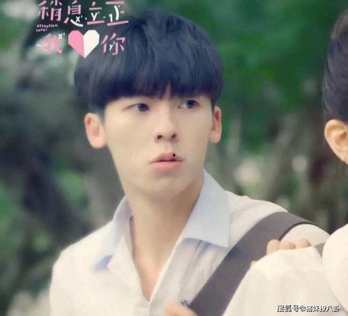 娱乐爆料肖战杨洋,两大流量小生幕后故事大揭秘  第1张